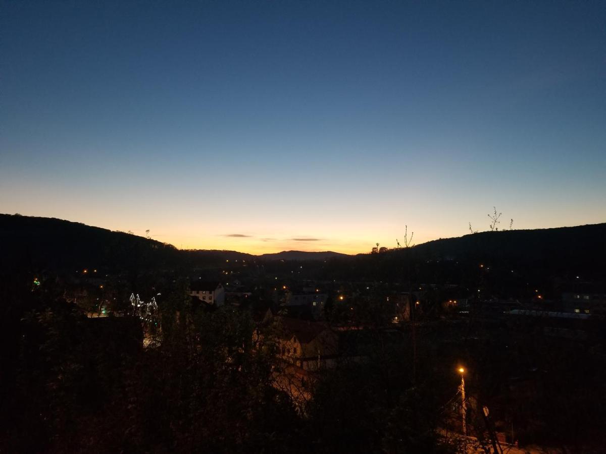 Pensiunea Lelila Inn Sighişoara Exterior foto