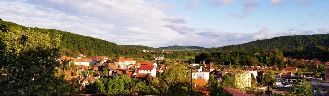 Pensiunea Lelila Inn Sighişoara Exterior foto