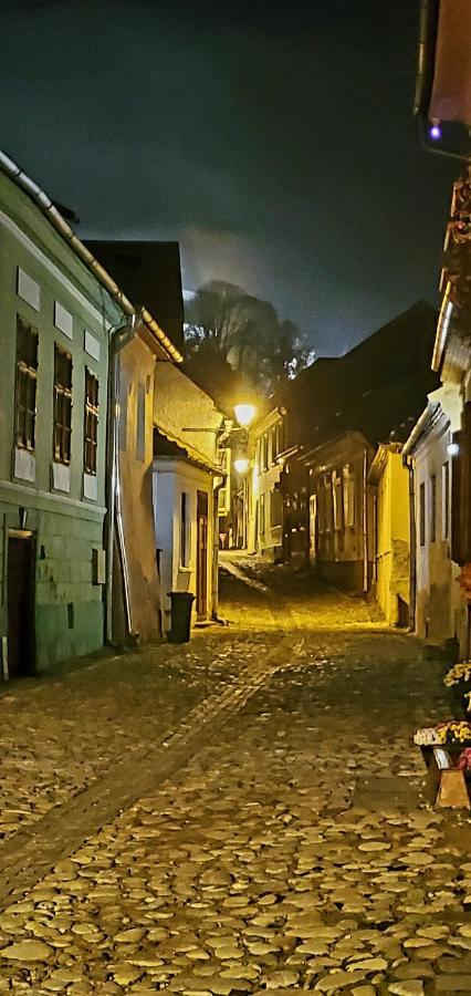 Pensiunea Lelila Inn Sighişoara Exterior foto